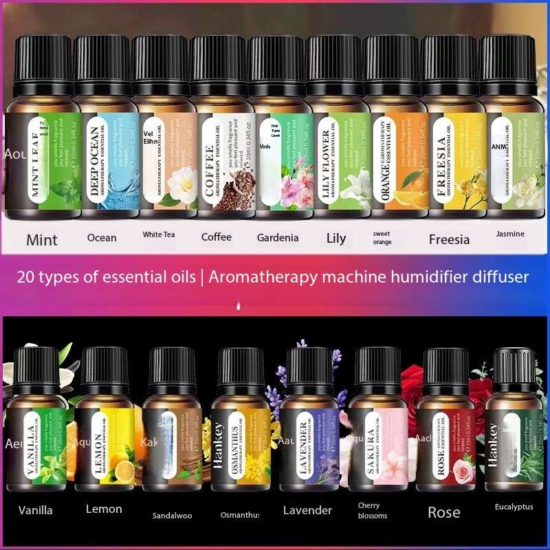 Home Fragrance Eucalyptus - Huile essentielle Hankey pour humidificateur, parfums