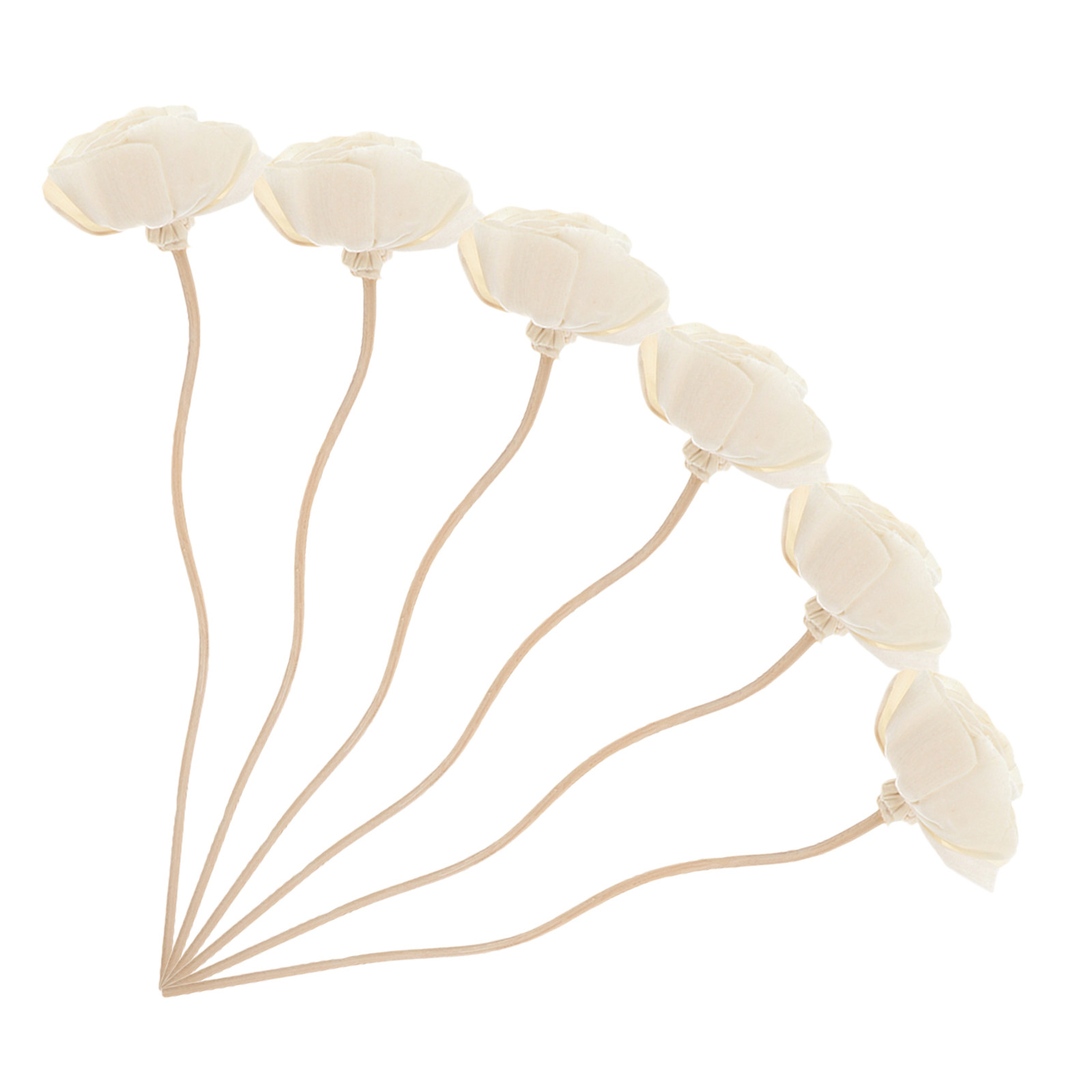 Lot de 6 bâtonnets diffuseurs  - Home Fragrance Aroma Set avis et prix