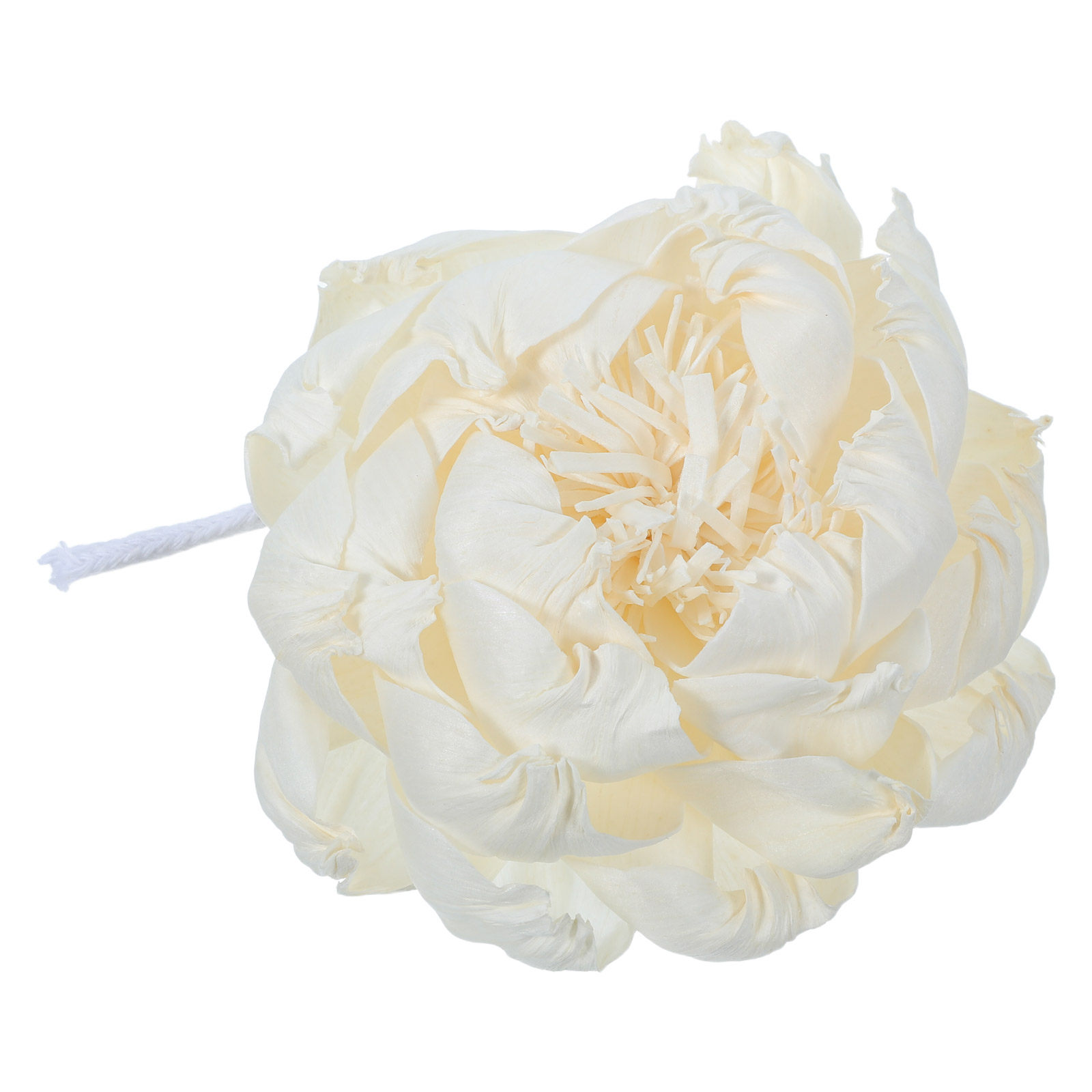 Diffuseur de parfum tête de pi - Home Fragrance And Diffuser avis et prix
