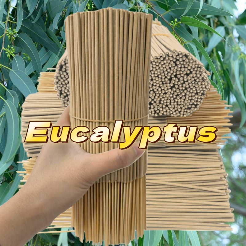 Parfum d'eucalyptus de haute q - Home Fragrance Eucalyptus avis et prix
