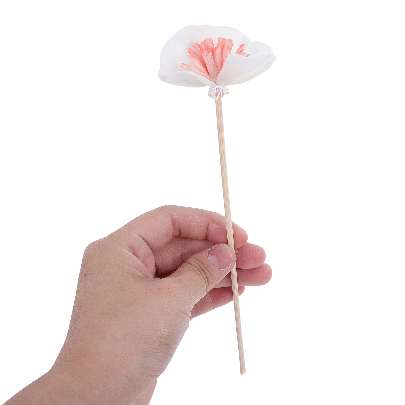 10 bâtonnets noirs pour diffus - Home Fragrance And Diffuser avis et prix