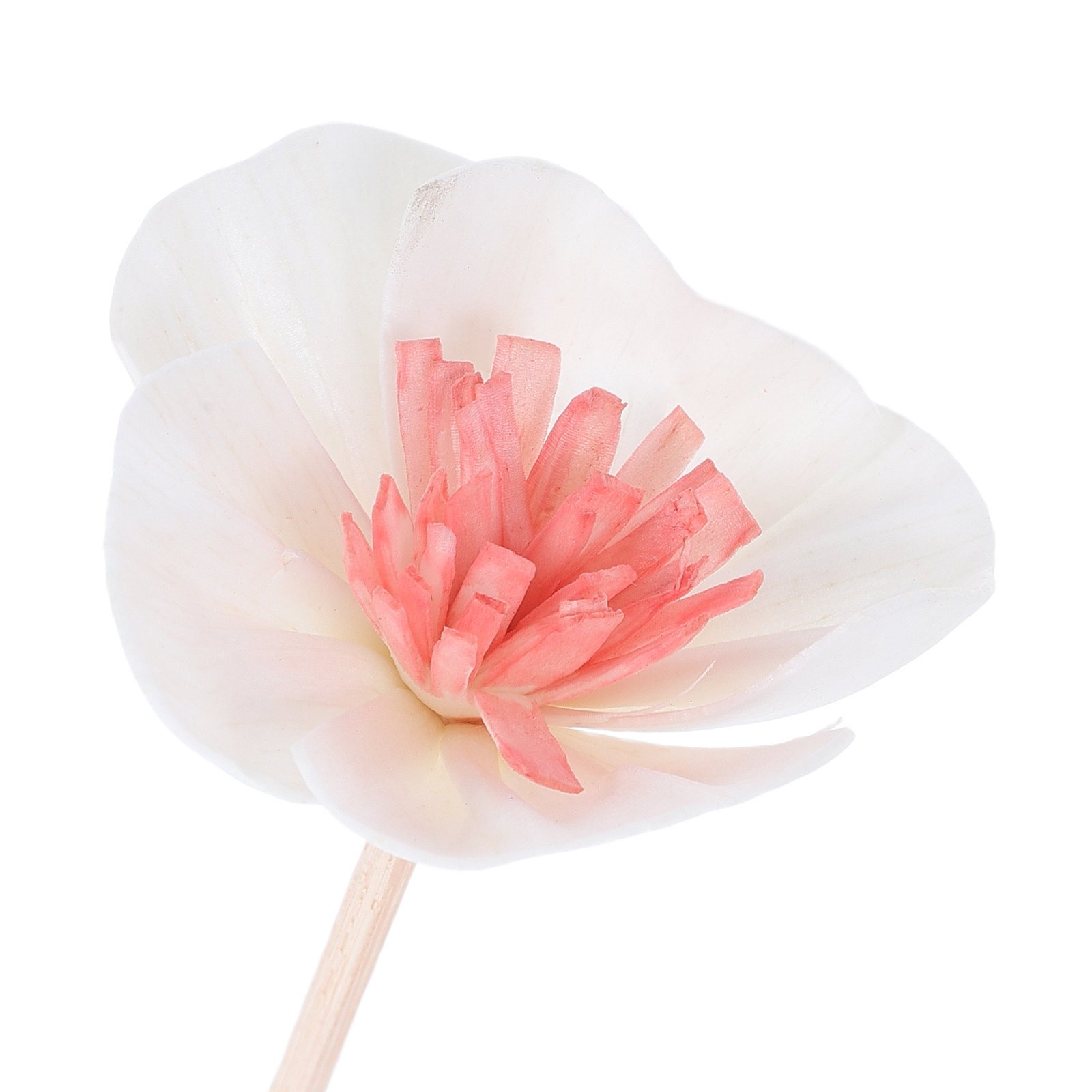 10 bâtonnets noirs pour diffus - Home Fragrance And Diffuser avis et prix
