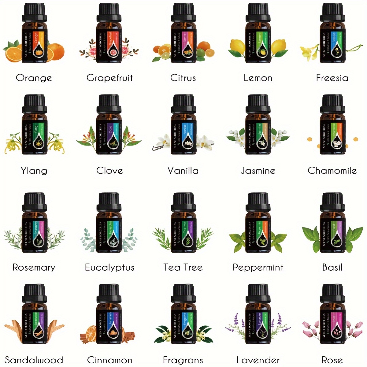 Ensemble de 20 huiles essentie - Home Fragrance Eucalyptus avis et prix